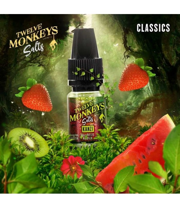 12 Monkeys - Kanzi 10ml Nikotinsalz Liquid 20mg un...